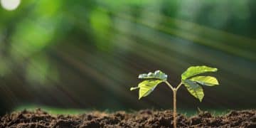 Could Brexit be the reason behind the 43% spike in green energy patents?