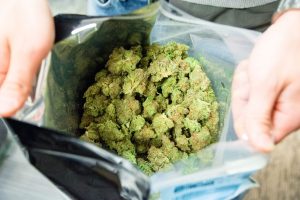 marijuana