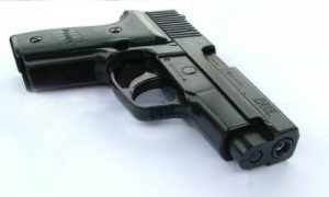 gun control