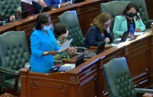 Illinois Mary Flowers resolution