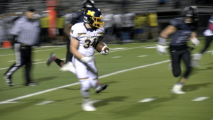 Marion Wildcats