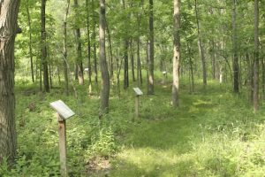 Nokomis Bremer Sanctuary