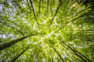 saving the planet