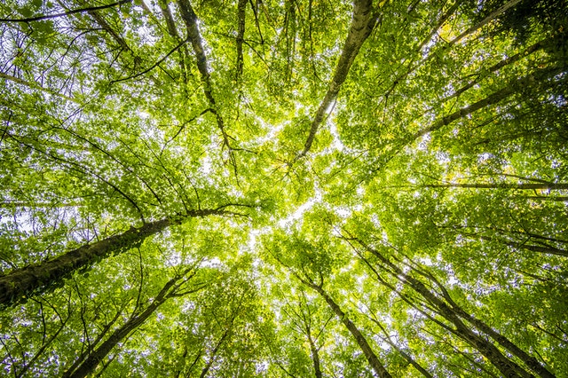 saving the planet