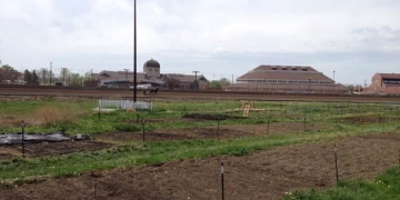 Illinois community garden