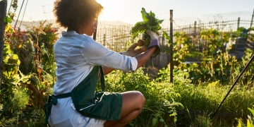 Public leadership program aims to bring sustainable food system to Illinois 6 Illinois food