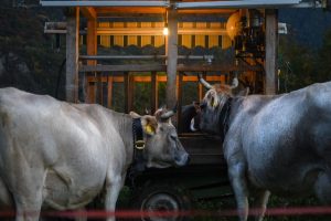 farmers farming business agribusiness