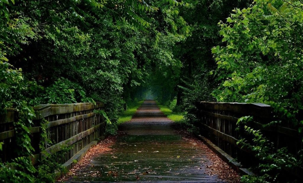 Lincoln Prairie Trail