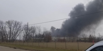 Iowa soybean plant Marengo