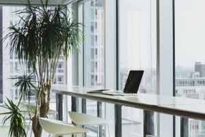 business sustainability
