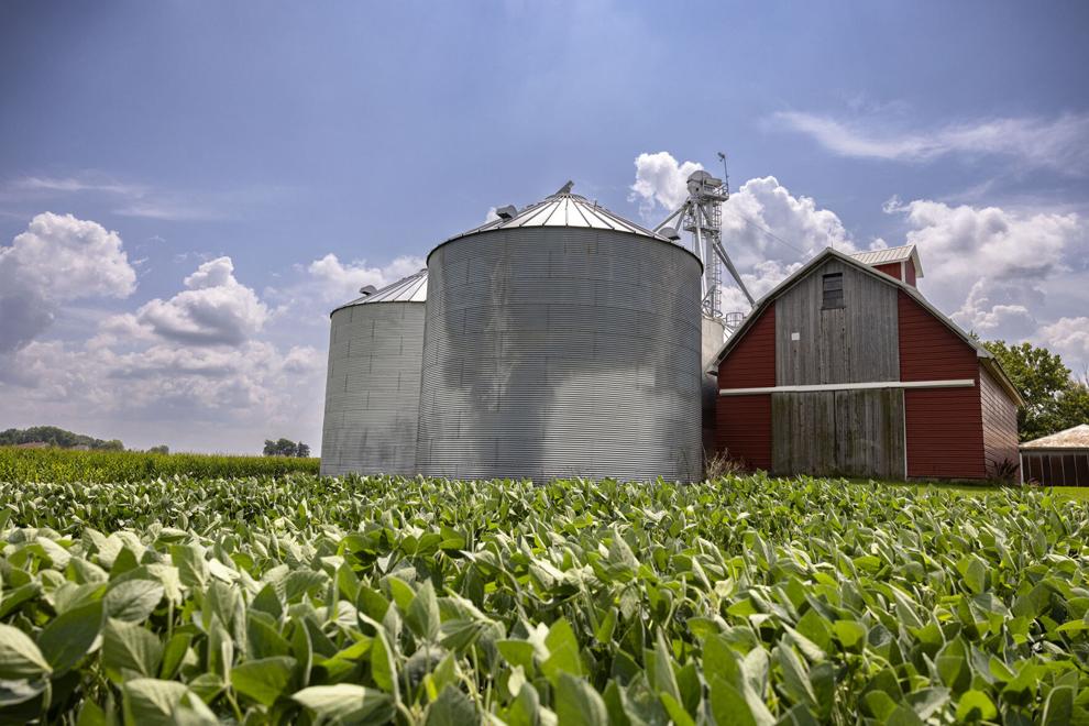 crop moisture extreme heat humidity