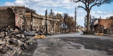 Maui wildfires