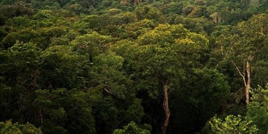 14 dead after plane crashes in Amazon 44 Amazon