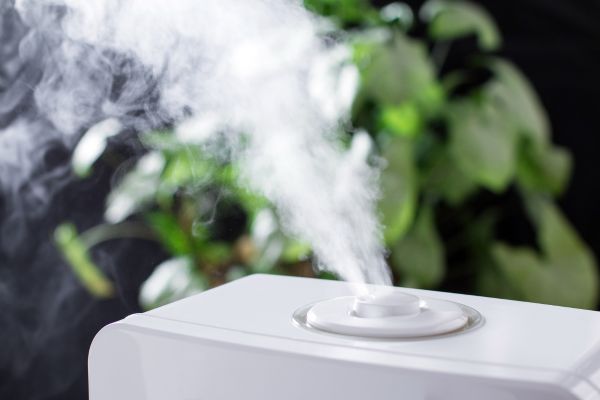 Essential home appliances for improving indoor air quality
