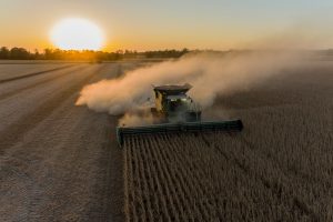 USDA soybean