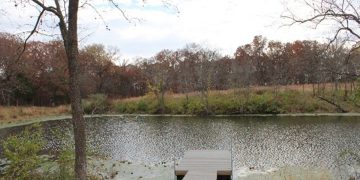 Baebler Farm Waterloo bird watching