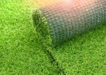 Latest Trends in Landscaping You Should Know