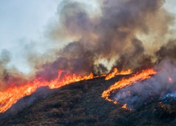 A hill full of brush getting burned by a wildfire in the middle of the day.