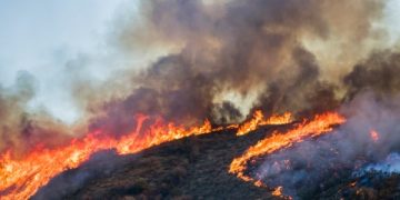 A hill full of brush getting burned by a wildfire in the middle of the day.
