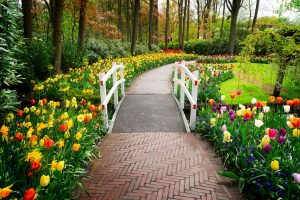 garden walk