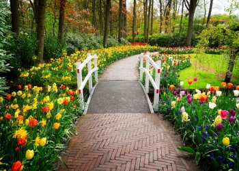 Nokomis library to hold garden walk 35 garden walk