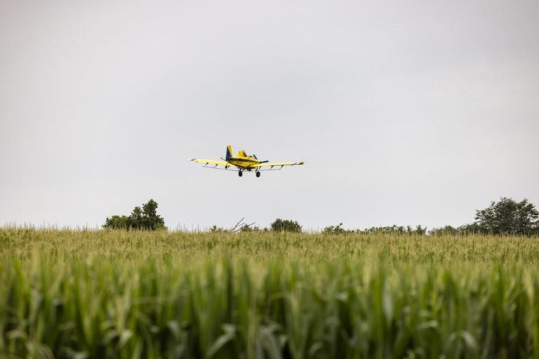 crops weeds diseases