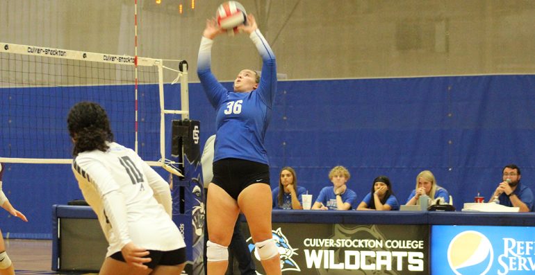 Wildcats volleyball Bloom