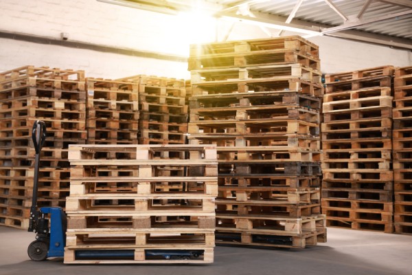 Several rows of wooden pallets stacked in a warehouse. There's a lift jack holding a small stack of pallets.