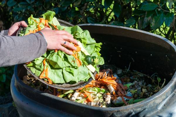 Someone adding produce scraps to a plastic compost bin. They're adding lettuce, carrots, onions, and more.