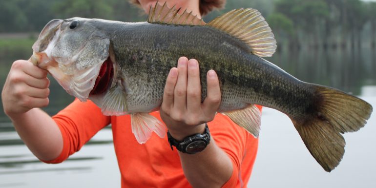 Shelbyville bass fishing