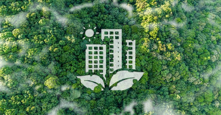 A top-down view of a dense, foggy forest. In the center is an illustration of three buildings behind two leaves.