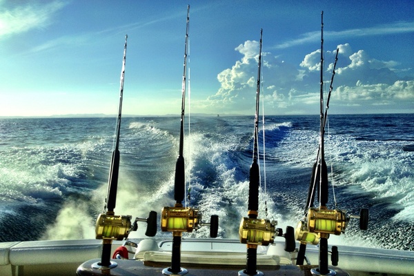 A close-up shows four black fishing poles with gold reels on the back of a fishing boat that is making waves.