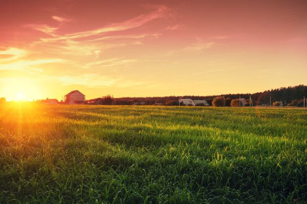A farm field with a farmhouse in the distance. The sun sets, casting an orange glow over the blades of grass.