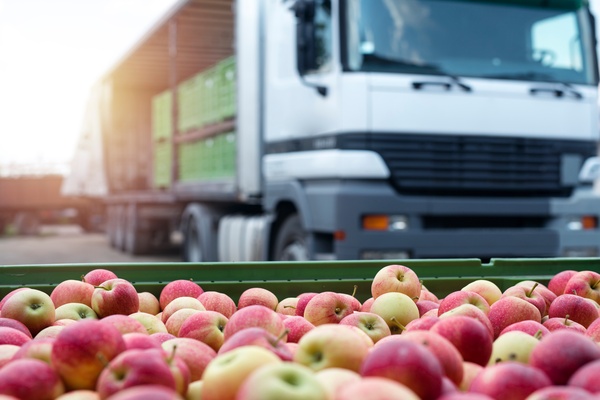 A white transport truck with open sides for loading is parked behind apples stacked in a green shipping container.