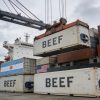 U.S. to boost Argentina beef imports