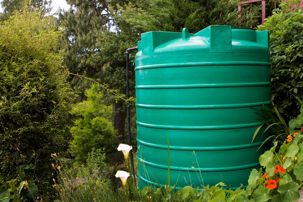 A large green residential water tank installed in a backyard garden surrounded by trees, shrubs, and flowering plants.