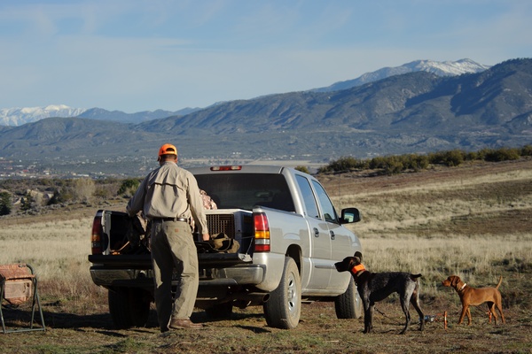 A person loading items into their truck bed while two dogs watch. Large mountains are visible in the distance.