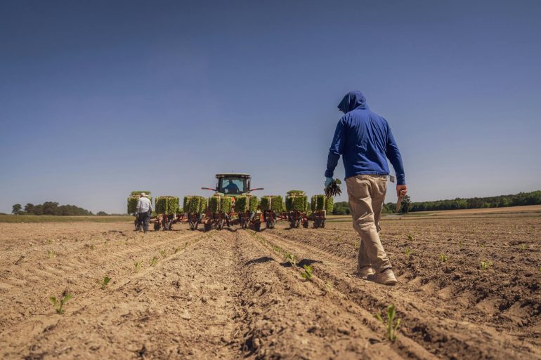 mental stress farming