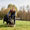 Common Mistakes First-Time Hobby Farmers Make