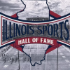Illinois Sports Hall of Fame coming in 2028
