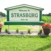 Strasburg seeking Volunteer of the Year