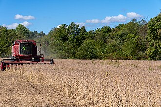 farm