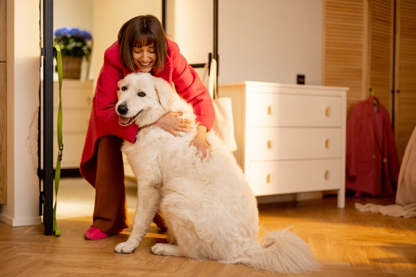 How to Test a Backup Care Plan for Your Pet